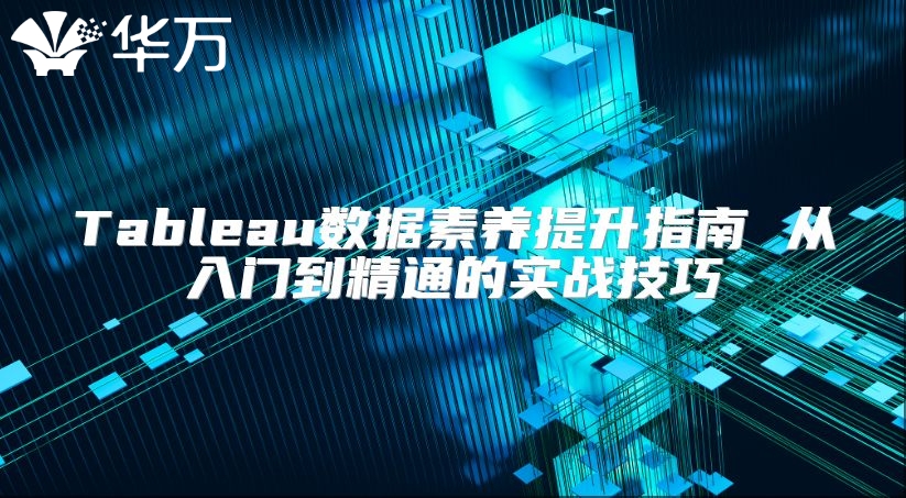 Tableau數(shù)據(jù)素養(yǎng)提升指南 從入門(mén)到精通的實(shí)戰(zhàn)技巧