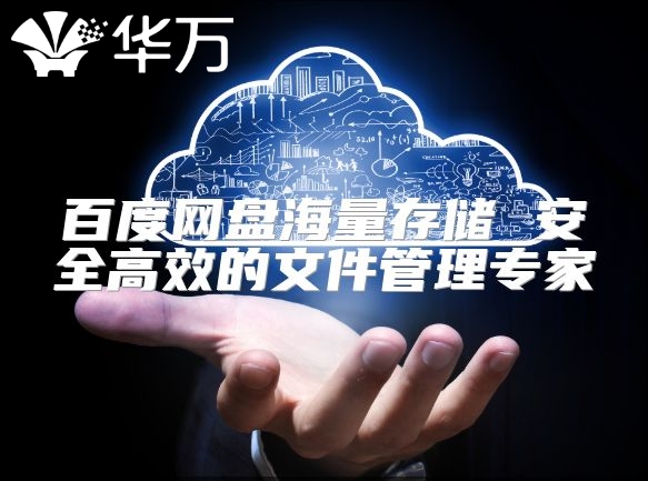 百度網(wǎng)盤海量存儲(chǔ) 安全高效的文件管理專家