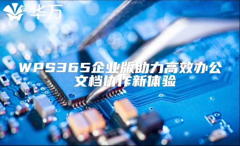 WPS365企業(yè)版助力高效辦公 文檔協(xié)作新體驗