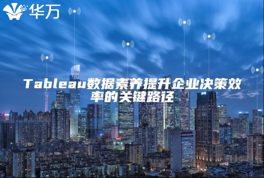 Tableau數(shù)據(jù)素養(yǎng)提升企業(yè)決策效率的關(guān)鍵路徑