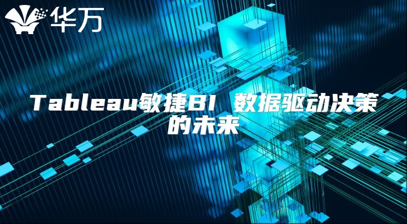 Tableau敏捷BI 數據驅動決策的未來